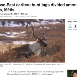 Bluenose-East caribou hunt tags divided among First Nations, Métis