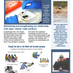 New newsletter available
