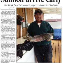 Salmon Arrive Early