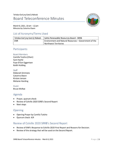 21-03-08 SRRB Teleconference Minutes